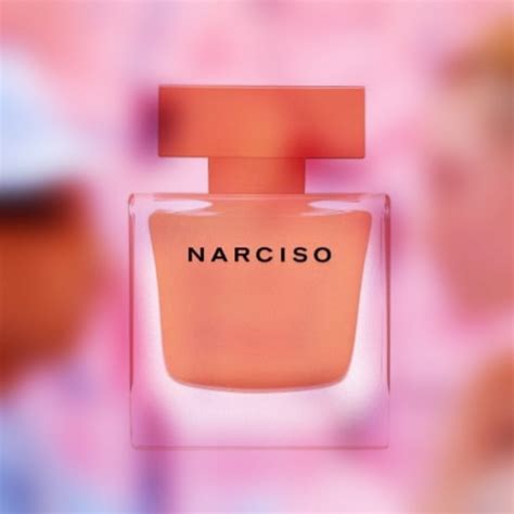 narciso rodriguez perfume reviews.